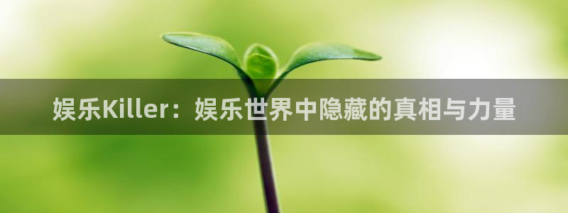 美狮贵宾会官网登录