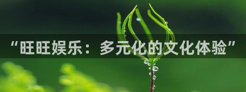 美狮贵宾会登录中心