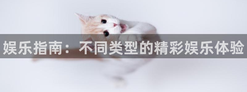 美狮贵宾会0924455