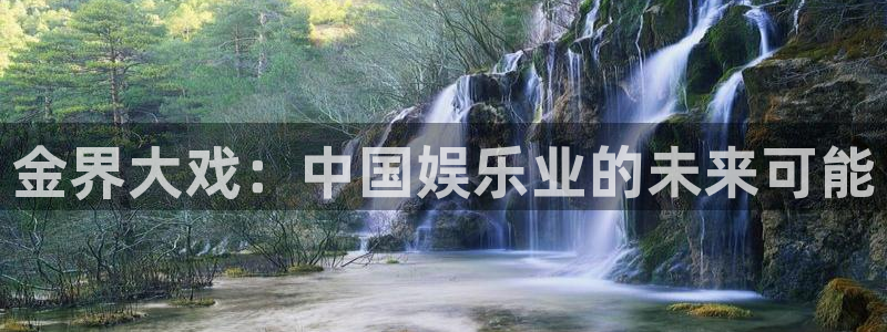 美狮贵宾会