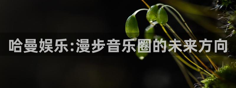 美狮贵宾会官方网下载