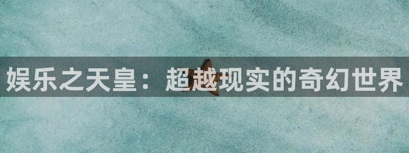 美狮贵宾会官方网下载
