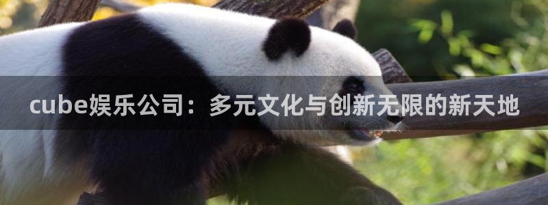 美狮贵宾会线路检测