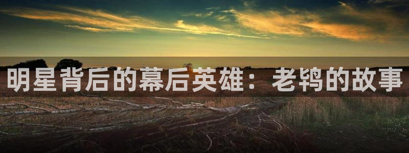 美狮贵宾会