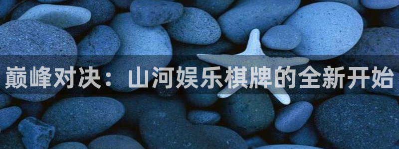 美狮贵宾会官方网下载